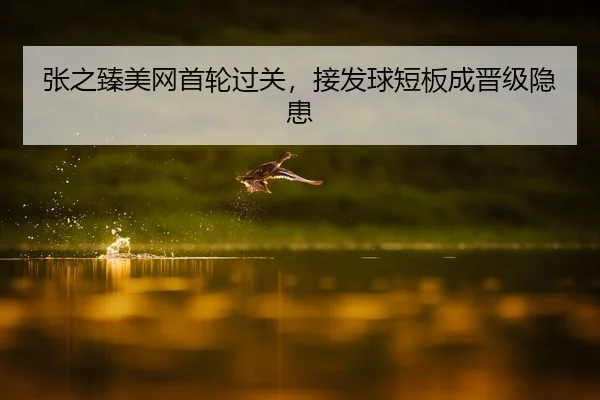 张之臻美网首轮过关，接发球短板成晋级隐患