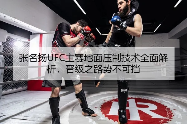 张名扬UFC主赛地面压制技术全面解析，晋级之路势不可挡