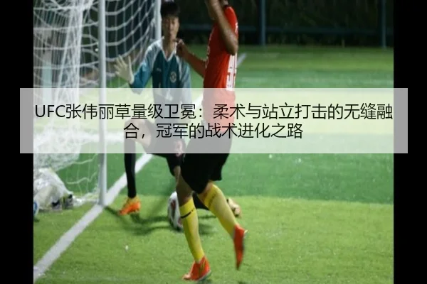 UFC张伟丽草量级卫冕：柔术与站立打击的无缝融合，冠军的战术进化之路