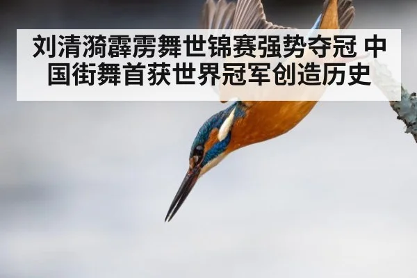 刘清漪霹雳舞世锦赛强势夺冠 中国街舞首获世界冠军创造历史