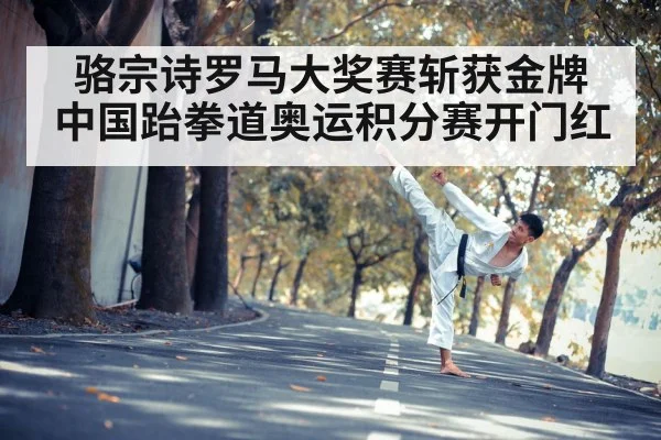 骆宗诗罗马大奖赛斩获金牌 中国跆拳道奥运积分赛开门红