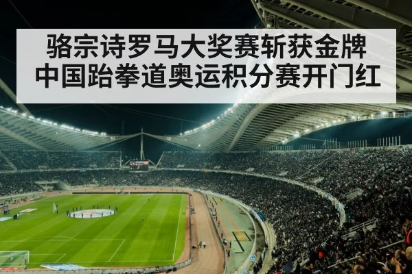 sports arena crowd
